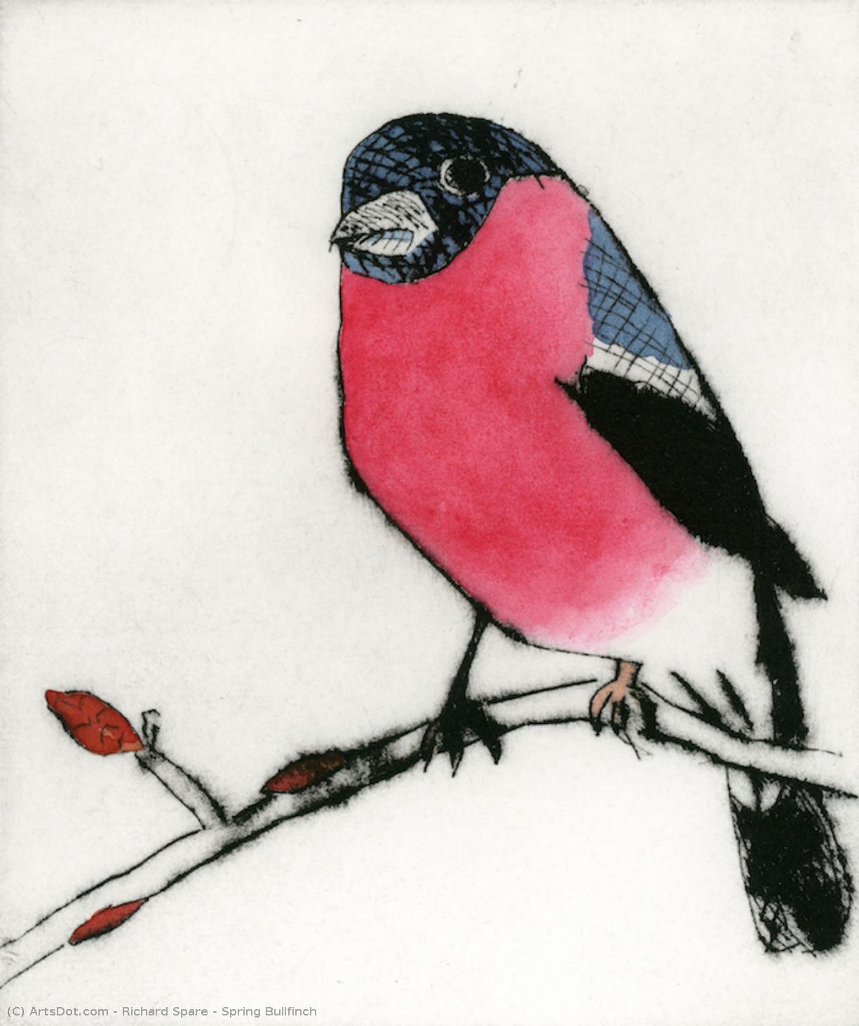 Spring Bullfinch — Richard John Spare