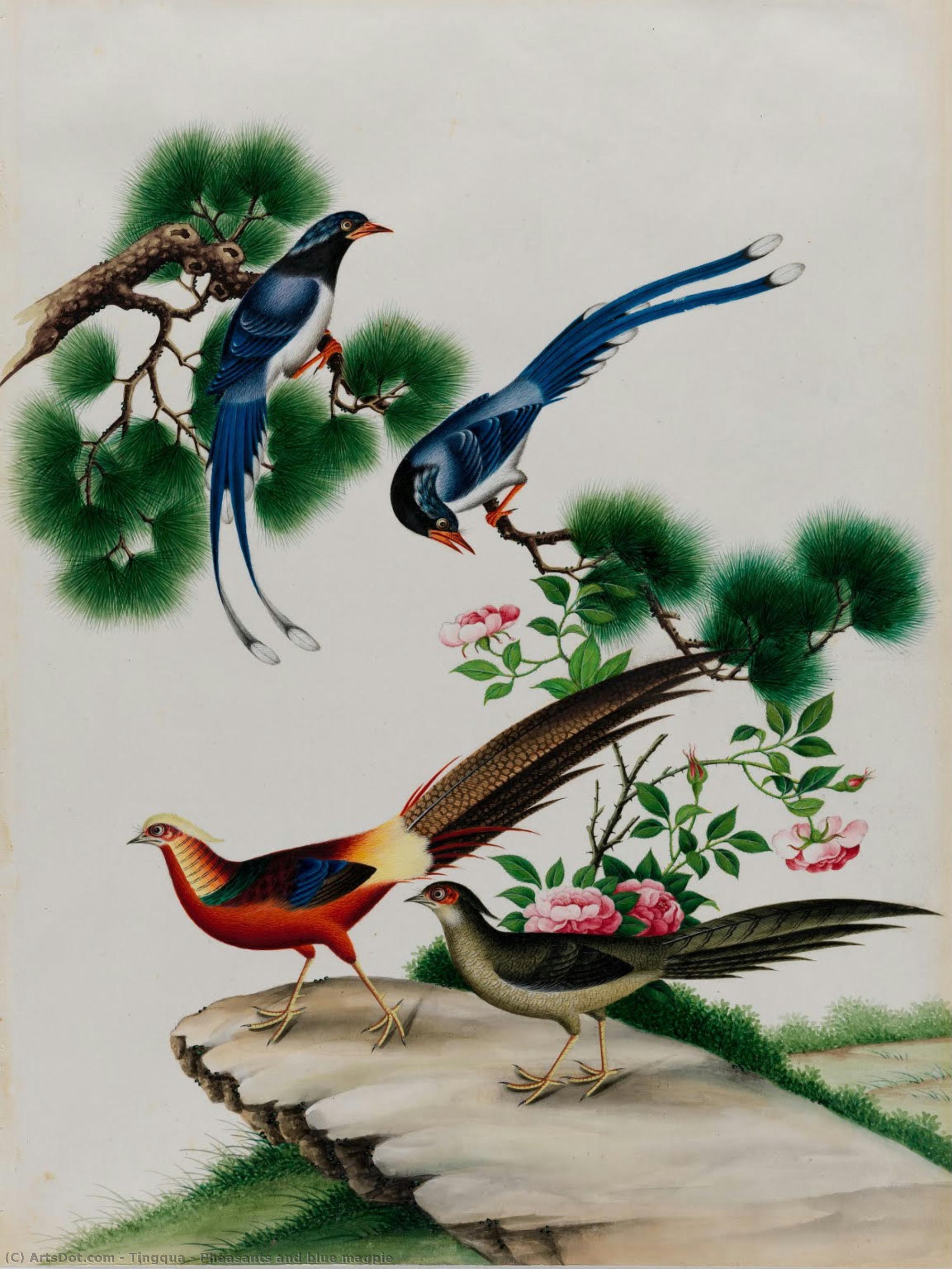 Pheasants And Blue Magpie — Tingqua