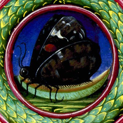 Illumination On Parchment Biblioteca Estense — Taddeo Crivelli
