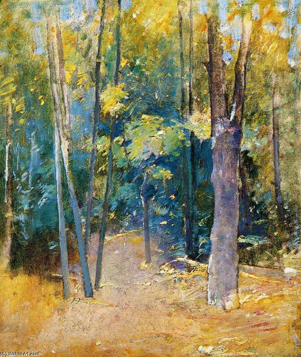 Wooded Interior — Серен Емил Карлсен