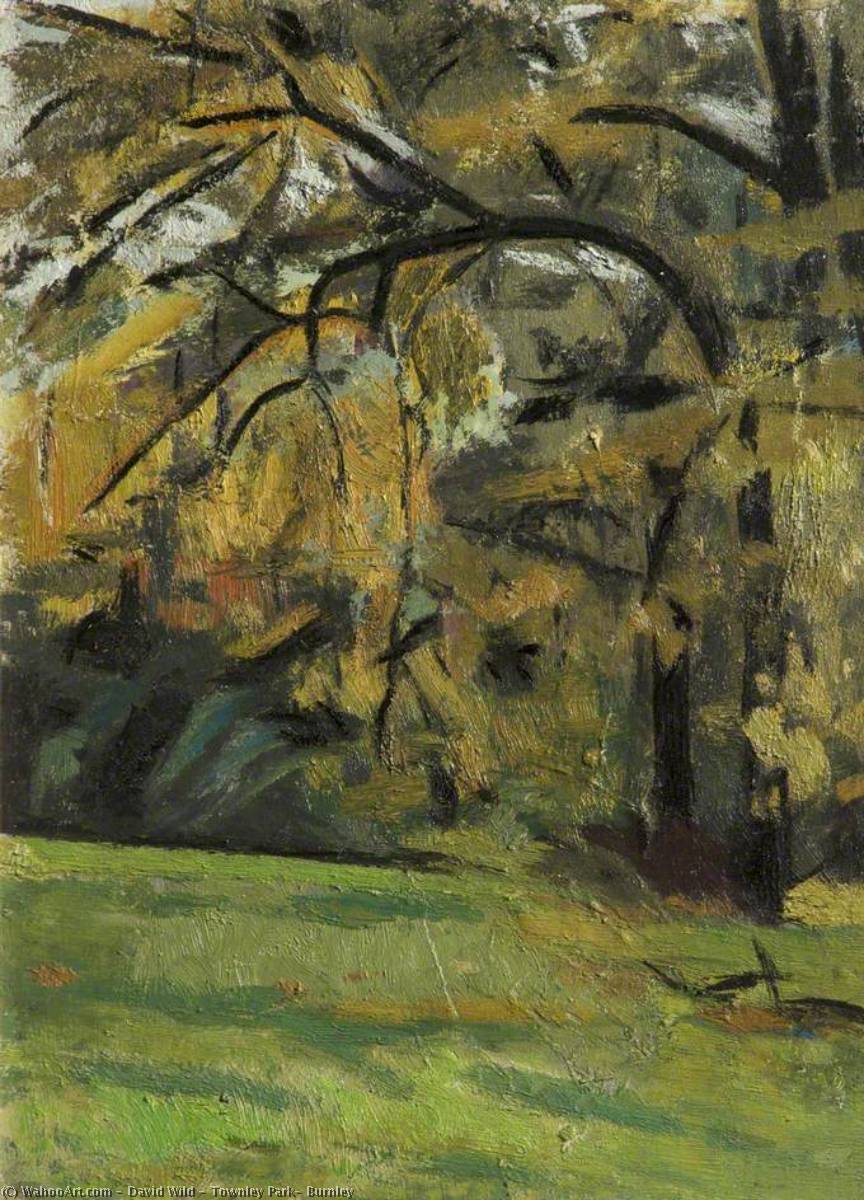 Townley Park, Burnley — David Wild