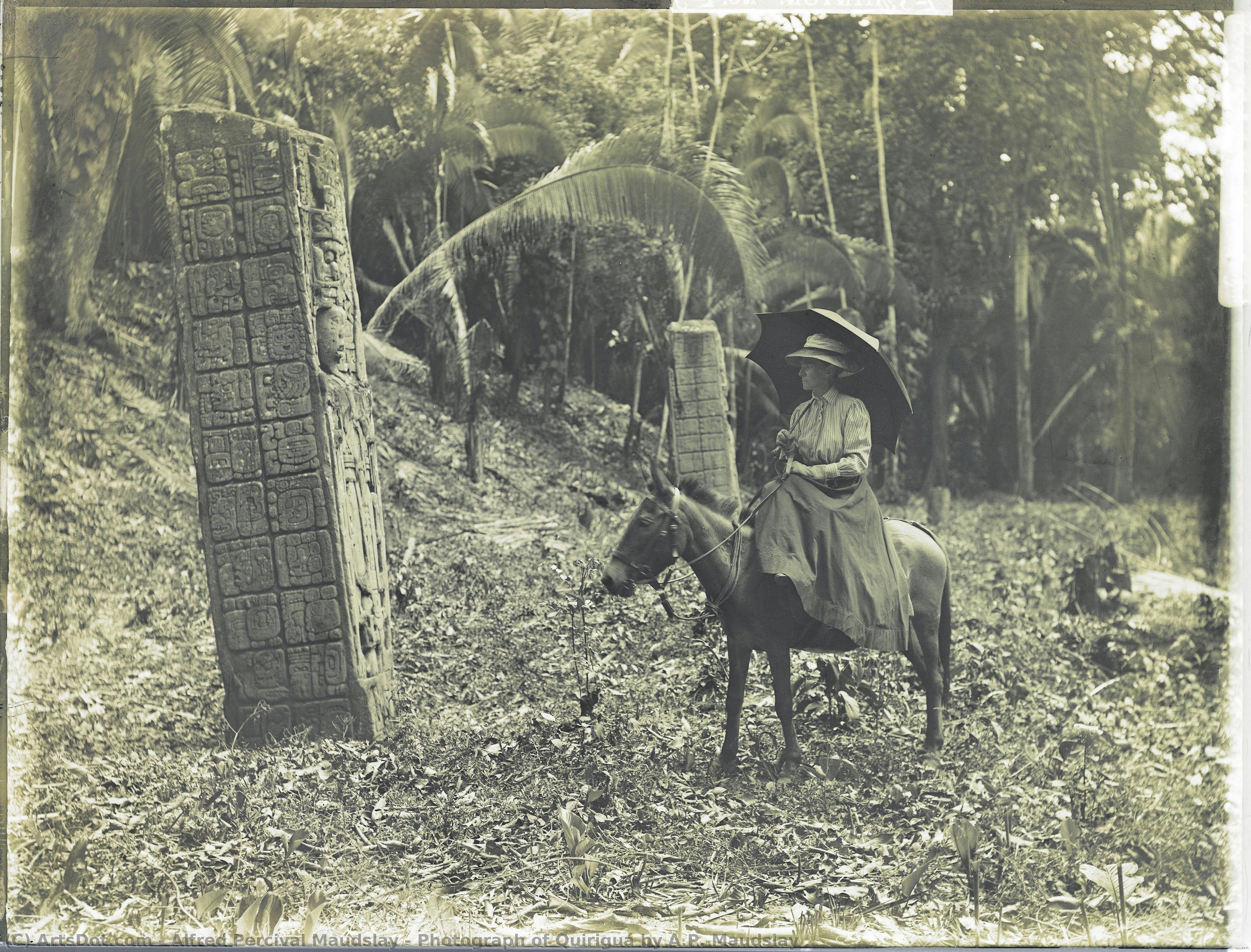 Photograph Of Quiriguá By A.p. Maudslay — Alfred Percival Maudslay