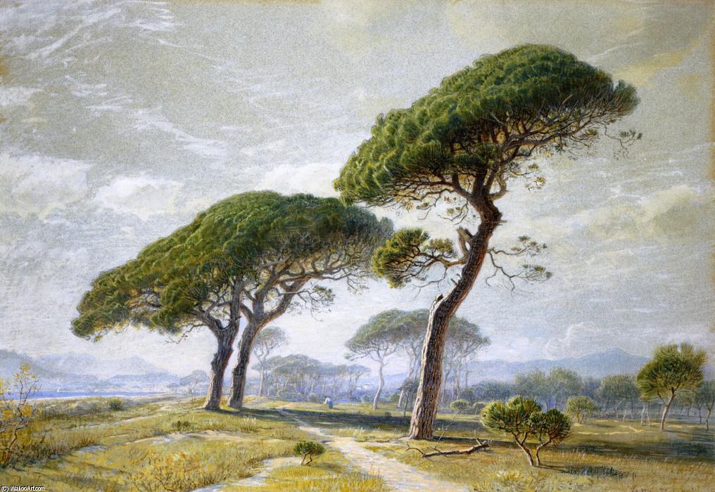 View Of Cannes With Parasol Pines — William Stanley Haseltine