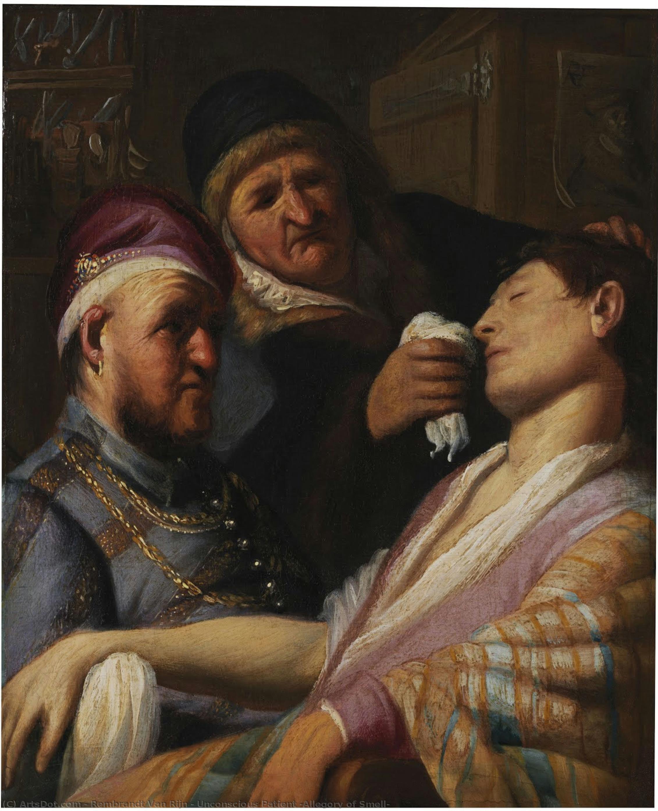 Der Bewusstlose Patient (allegorie Des Geruchs) — Rembrandt Van Rijn