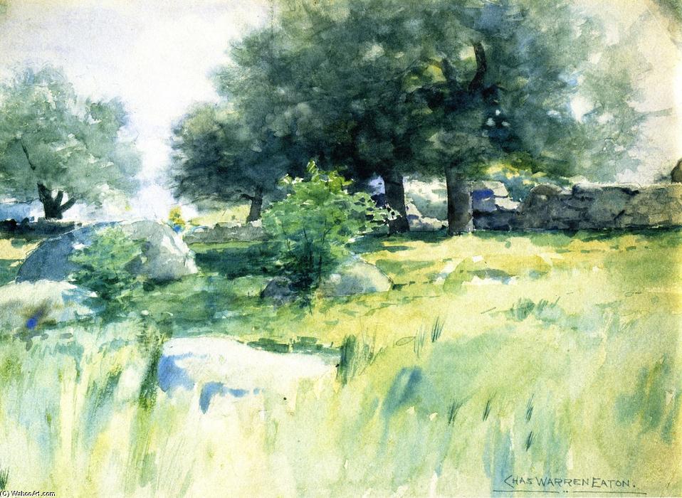 Meadow Walls — Charles Warren Eaton
