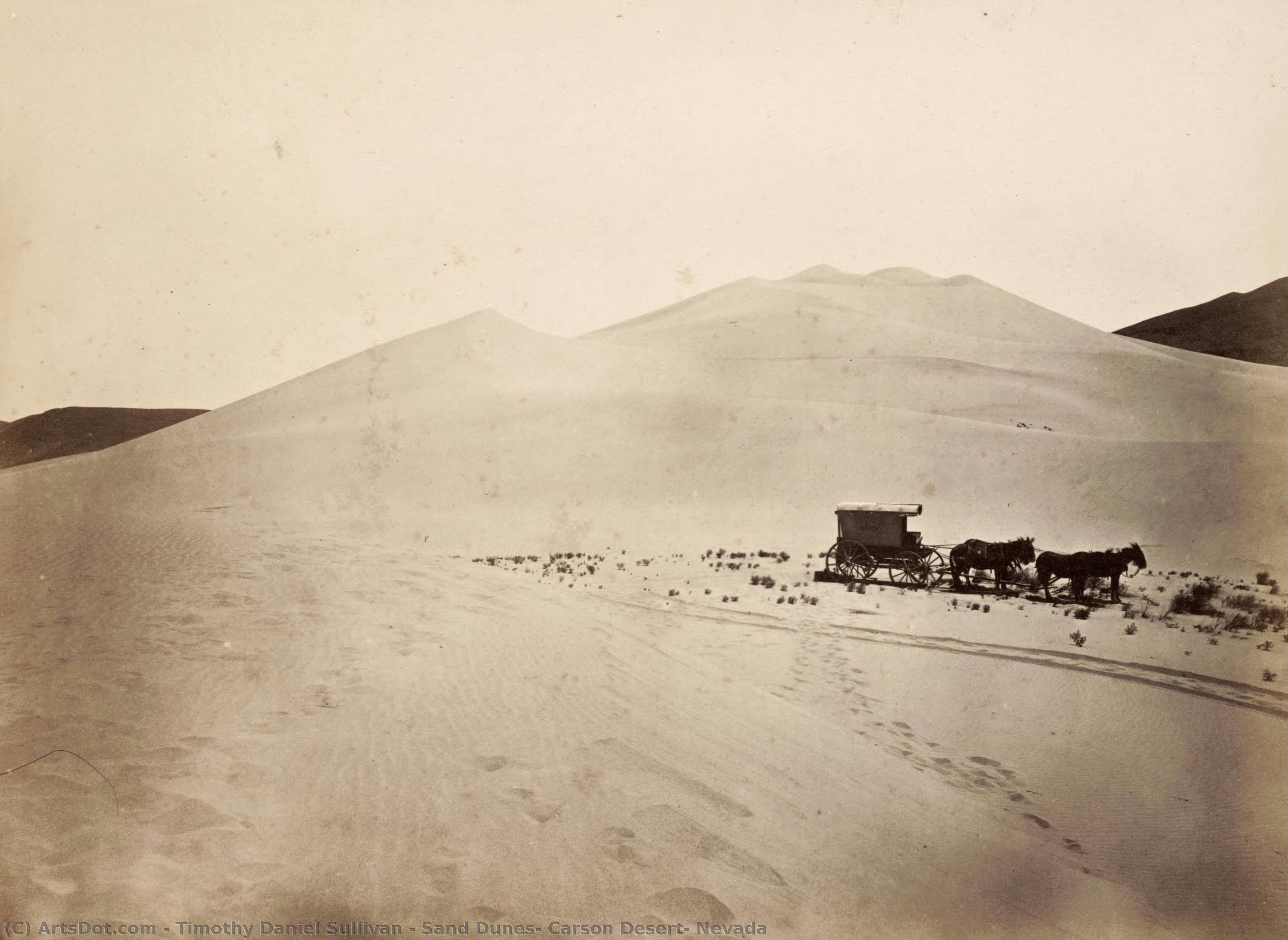 Sand Dunes, Carson Desert, Nevada — Timothy Daniel Sullivan