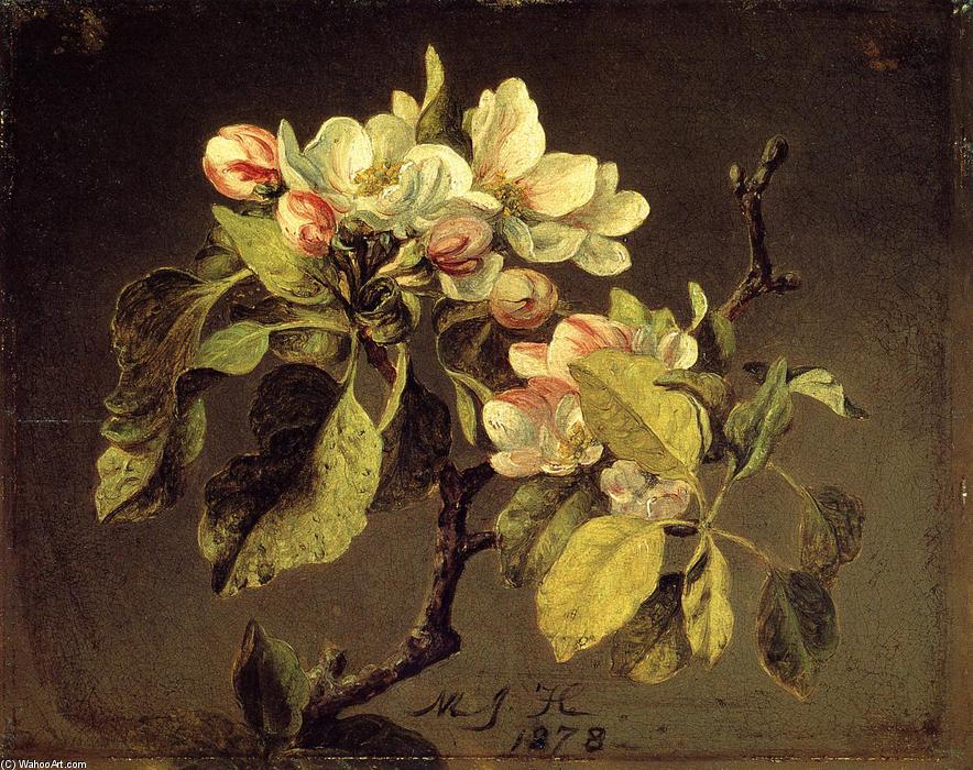 A Branch Of Apple Blossoms And Buds — Martin Johnson Heade