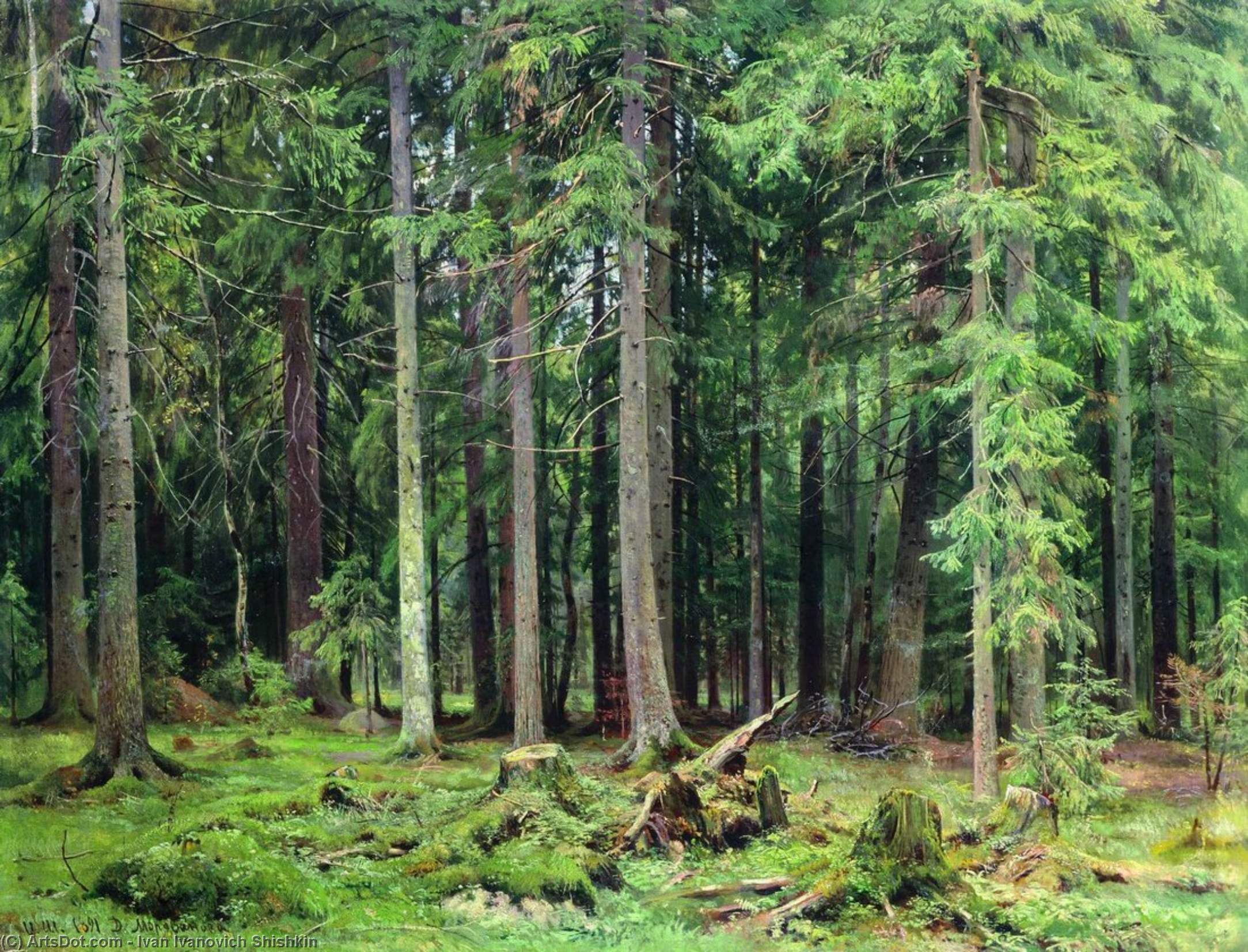 Forest In Mordvinovo — Иван Шишкин