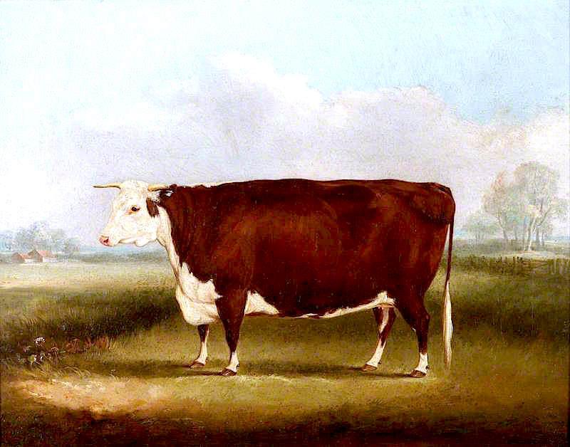 Hereford Cow — Уильям Генри Дэвис