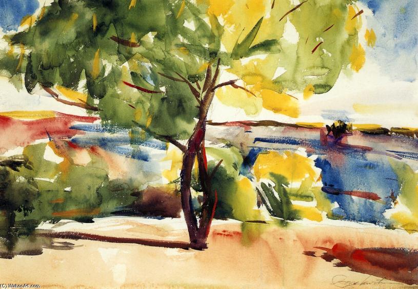 Two Mesquite Trees — Чарльз Вебер Хавроне