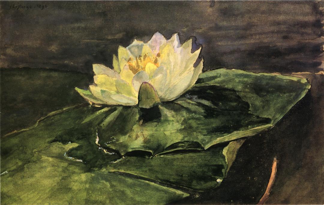 Water Lily — John La Farge