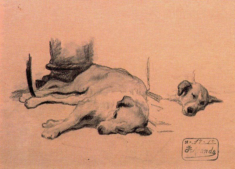 Study Of Dogs — José Jiménez Aranda