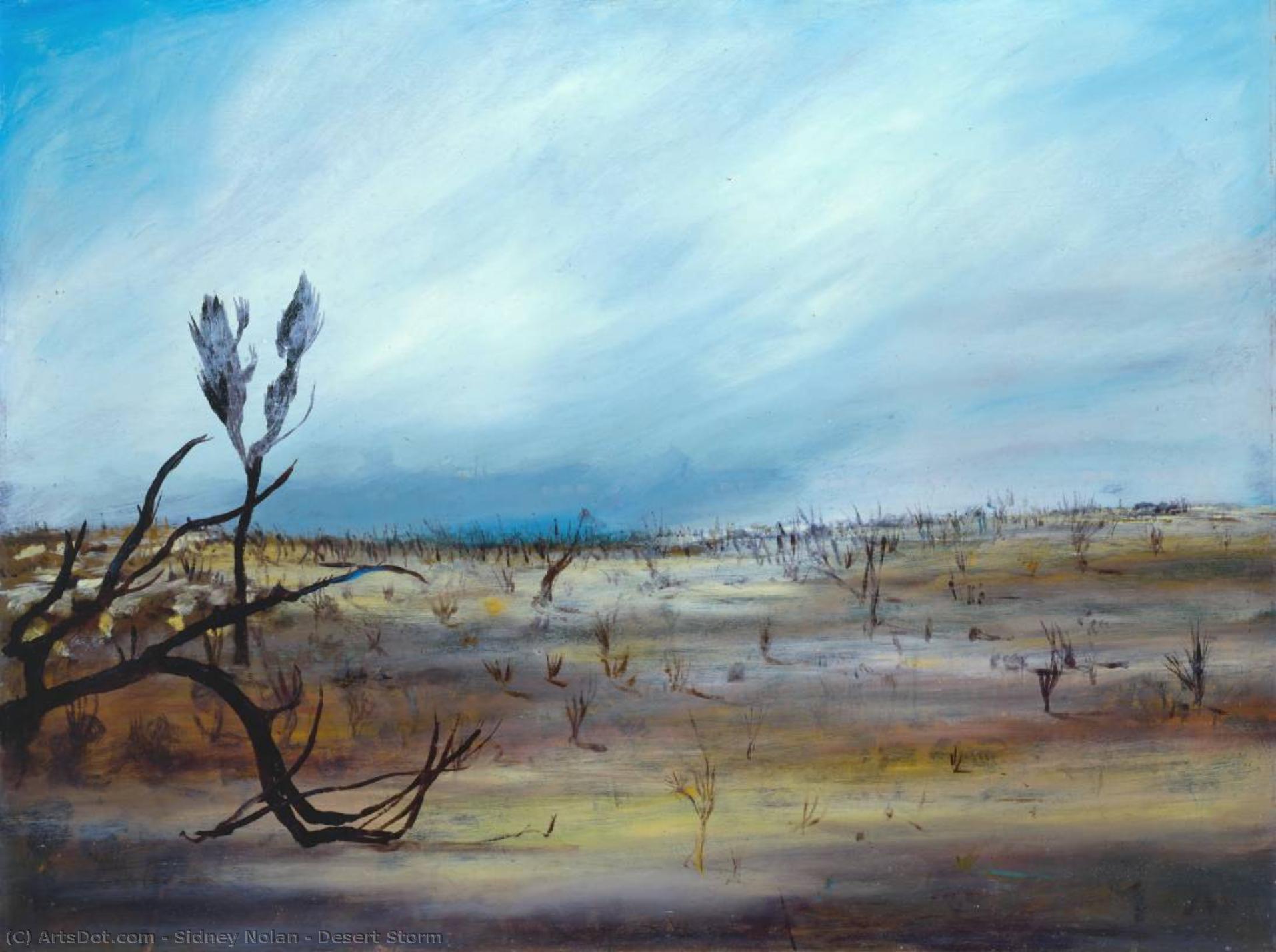 Desert Storm — Sidni Robert Nolan