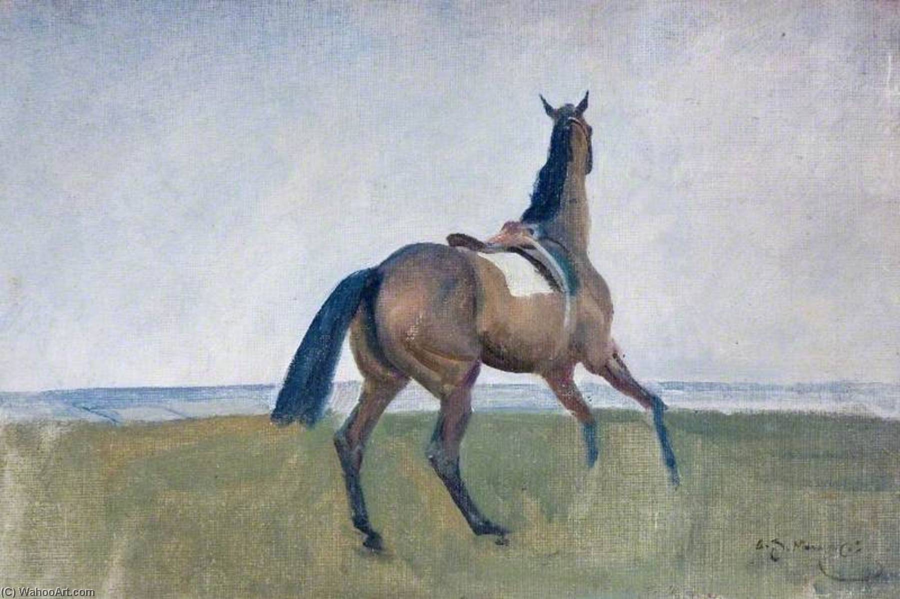 Study Of A Loose Horse — Sir Alfred James Munnings