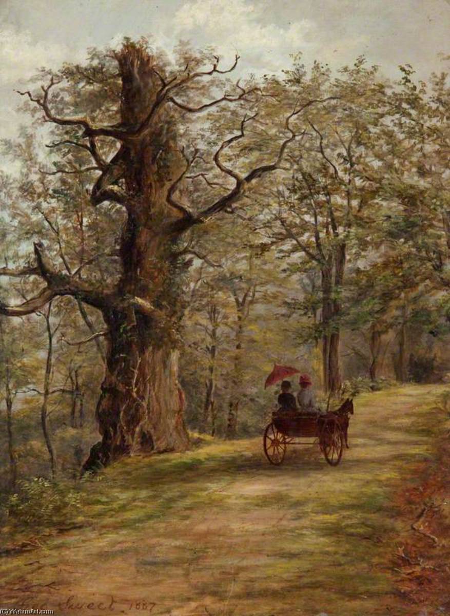 The Watch Tree, Cadzow Forest — George Sweet