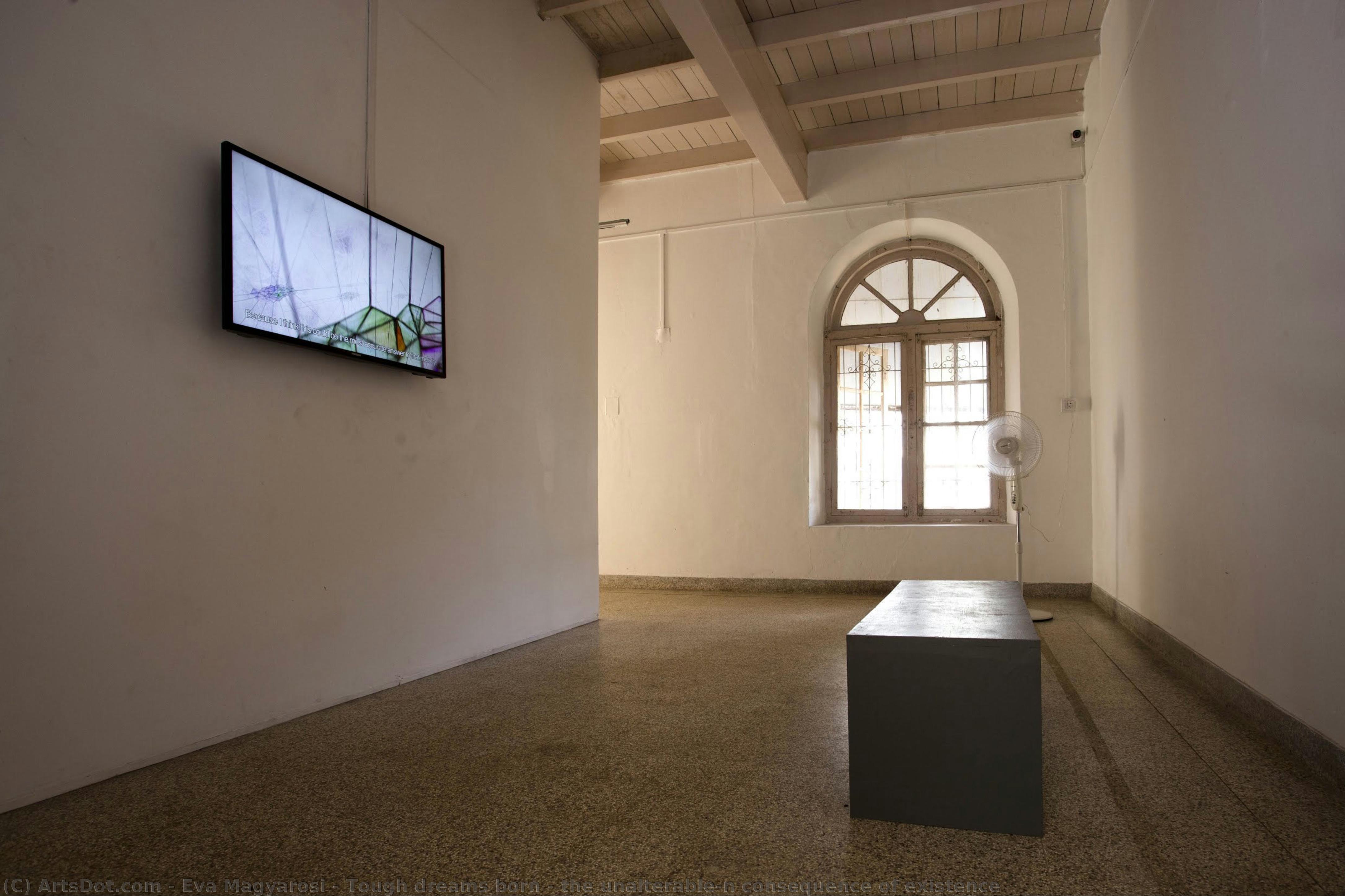 Tough Dreams Born – The Unalterable\n Consequence Of Existence — Eva Magyarosi