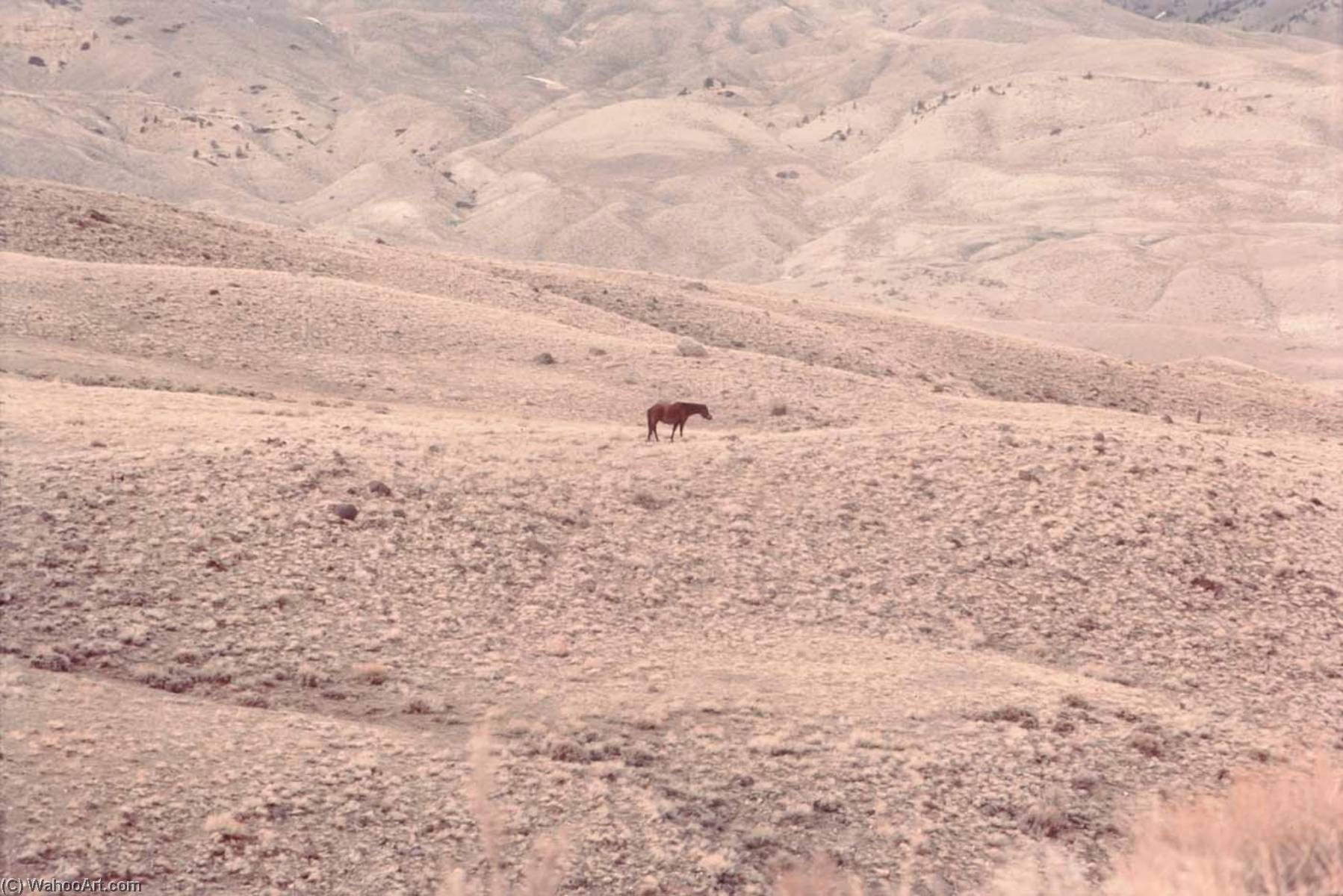Director, Wyoming Blm, From The Wyoming Documentary Survey Project — Penny Diane Wolin