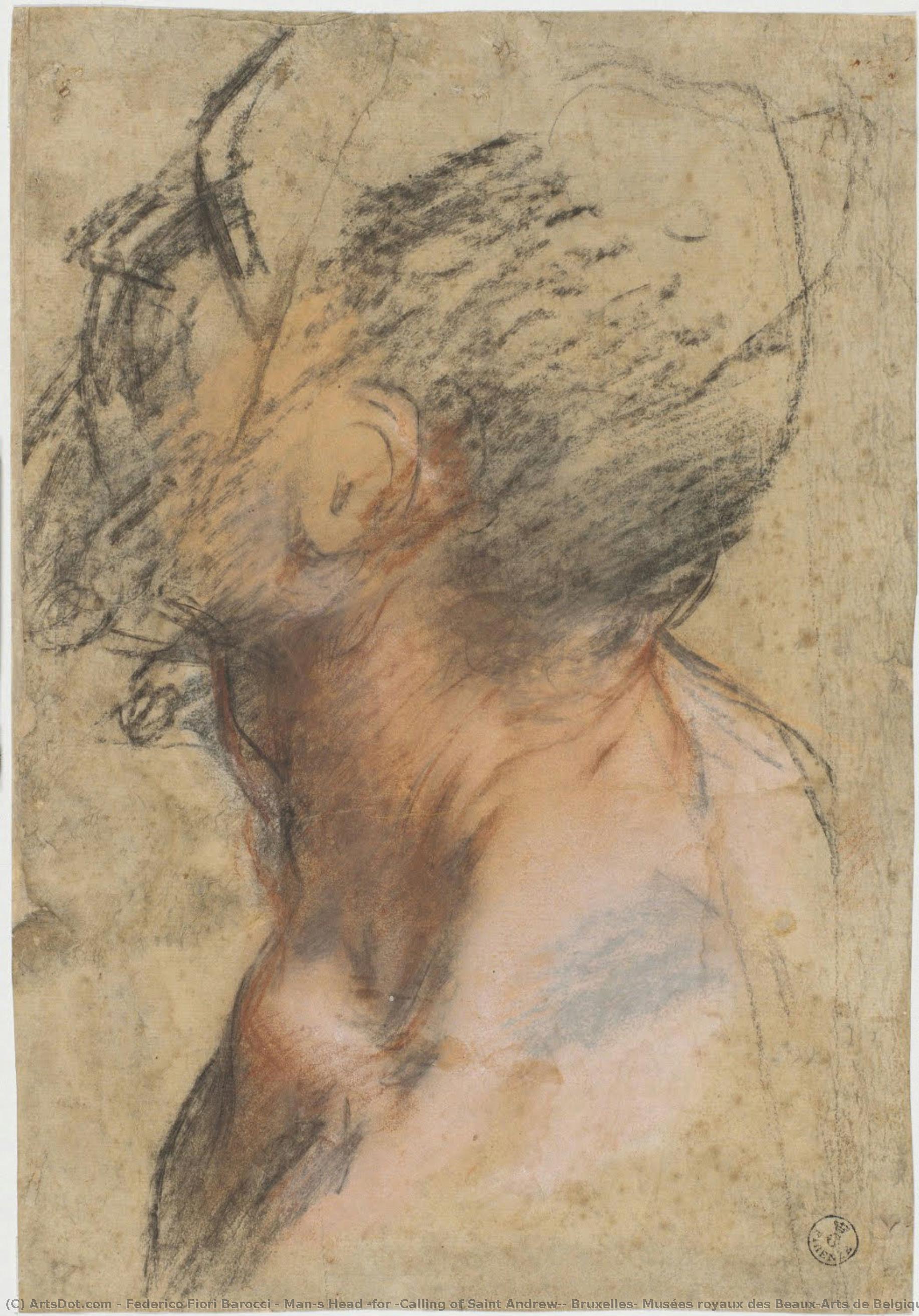 Man’s Head (for “calling Of Saint Andrew”, Bruxelles, Musées Royaux Des Beaux-arts De Belgique) — Federico Fiori Barocci