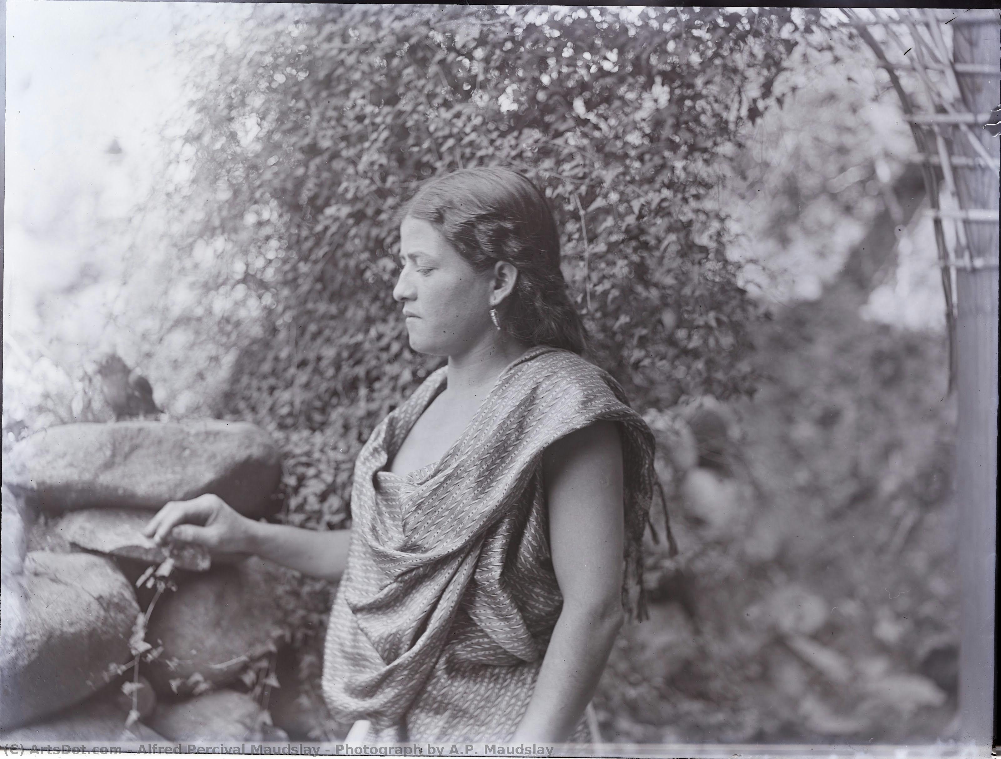 Photograph By A.p. Maudslay — Alfred Percival Maudslay