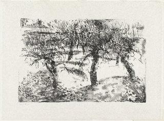 Winter Orchard — William Brice