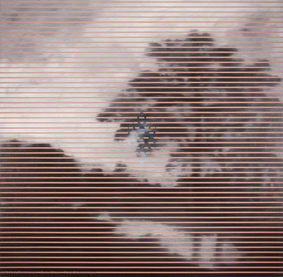 Pink Landscape — Chris Cran