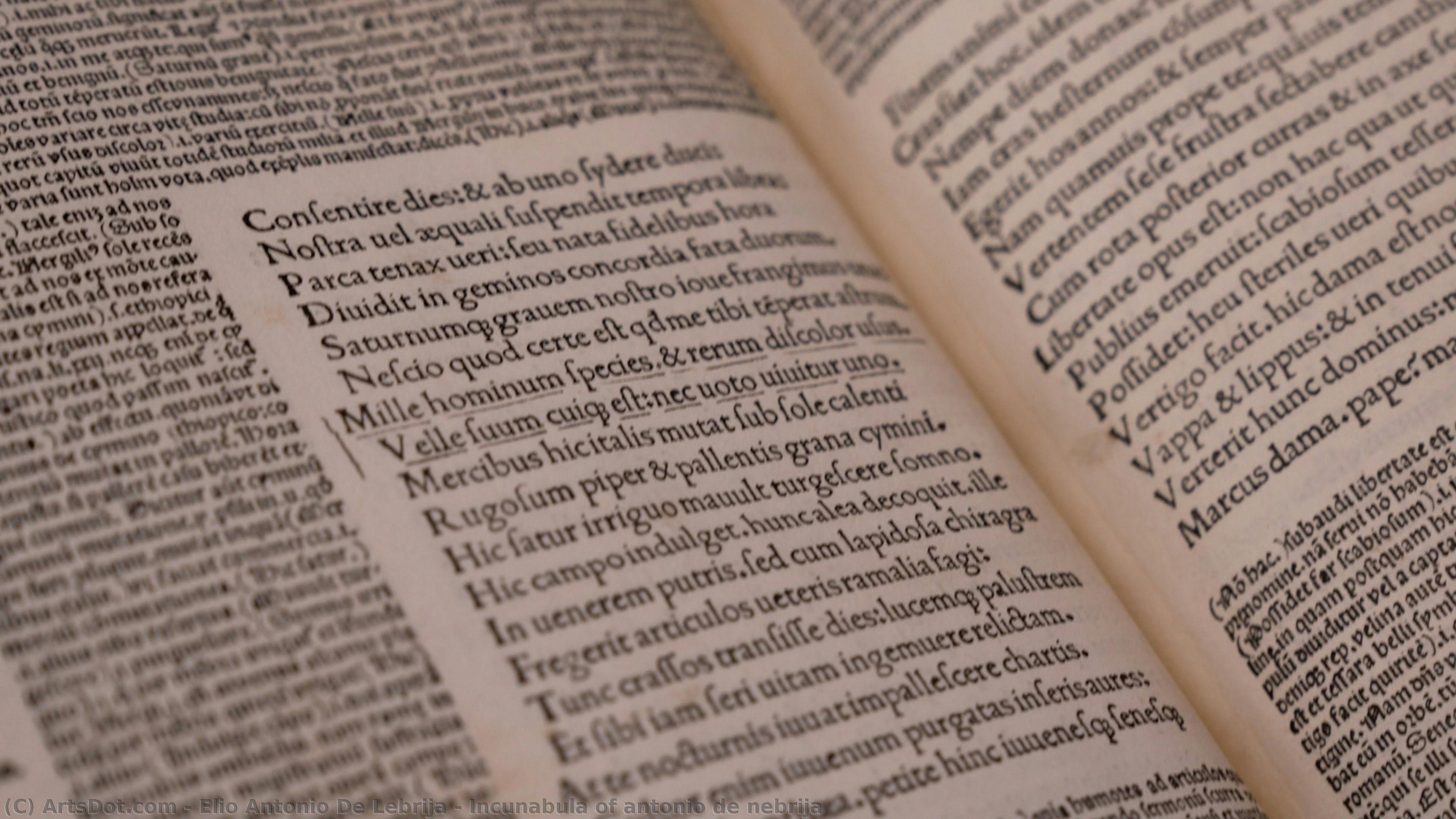Incunabula Of Antonio De Nebrija — Elio Antonio De Lebrija