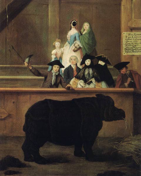 Il Rinoceronte. . Venezia, Ca' Rezzonico. — Pietro Longhi