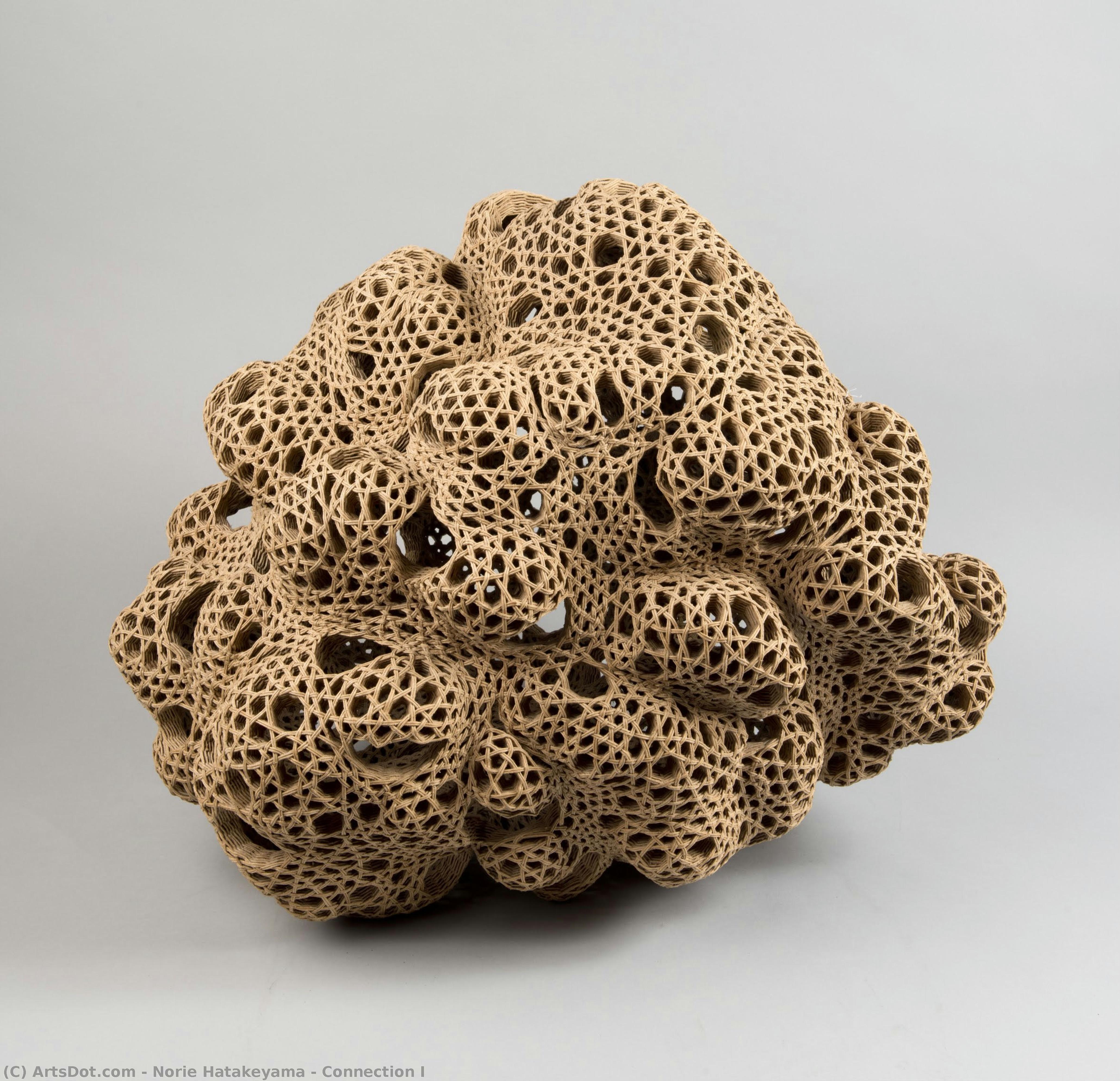 Connection I — Norie Hatakeyama