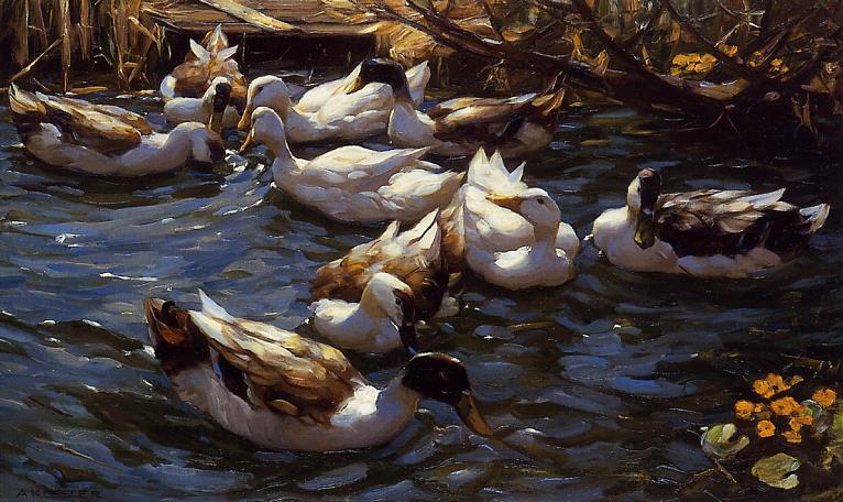 Ducks In The Reeds Under The Boughs — Alexander Max Koeste