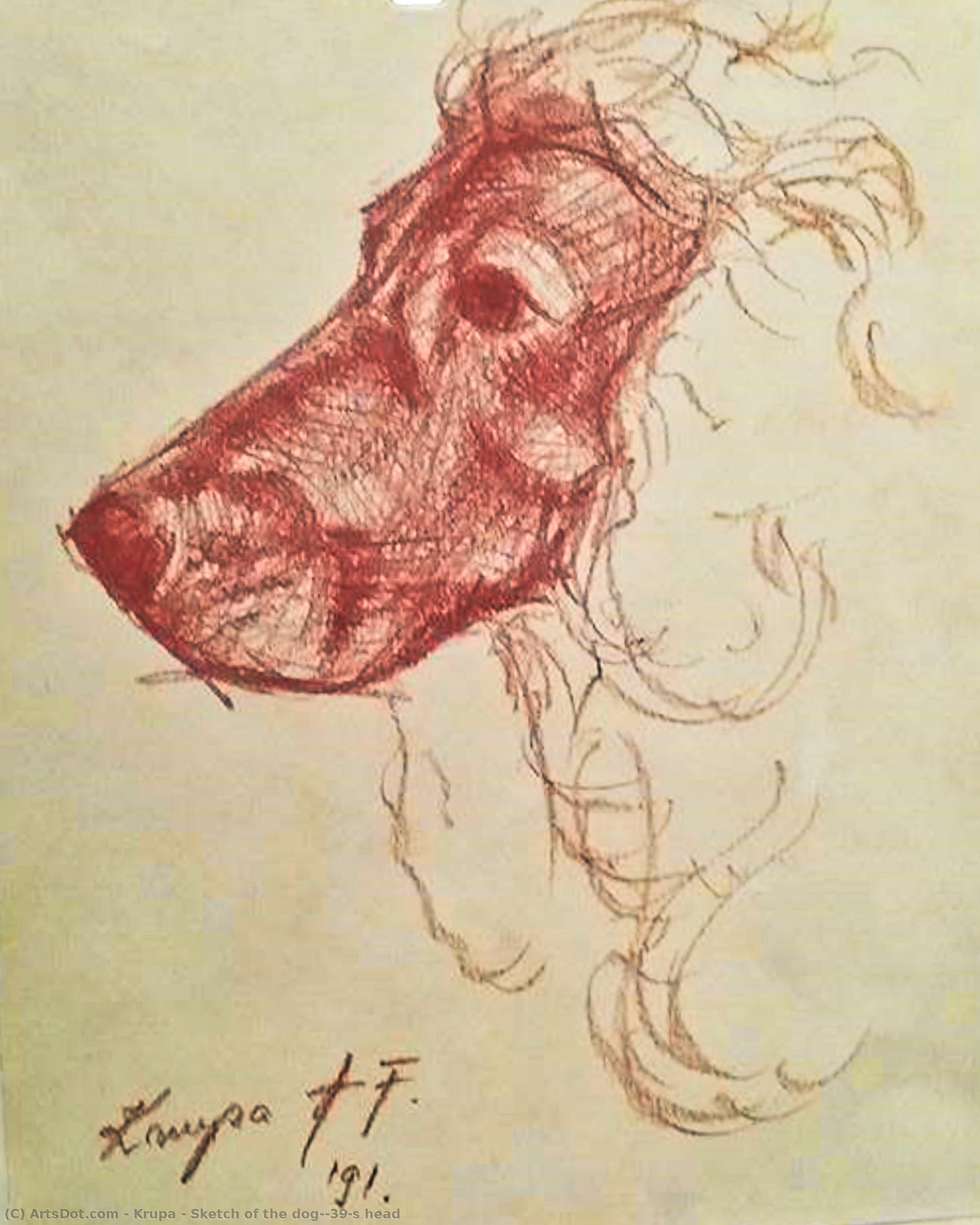 Sketch Of The Dog's Head — Алфред Фреди Крупа