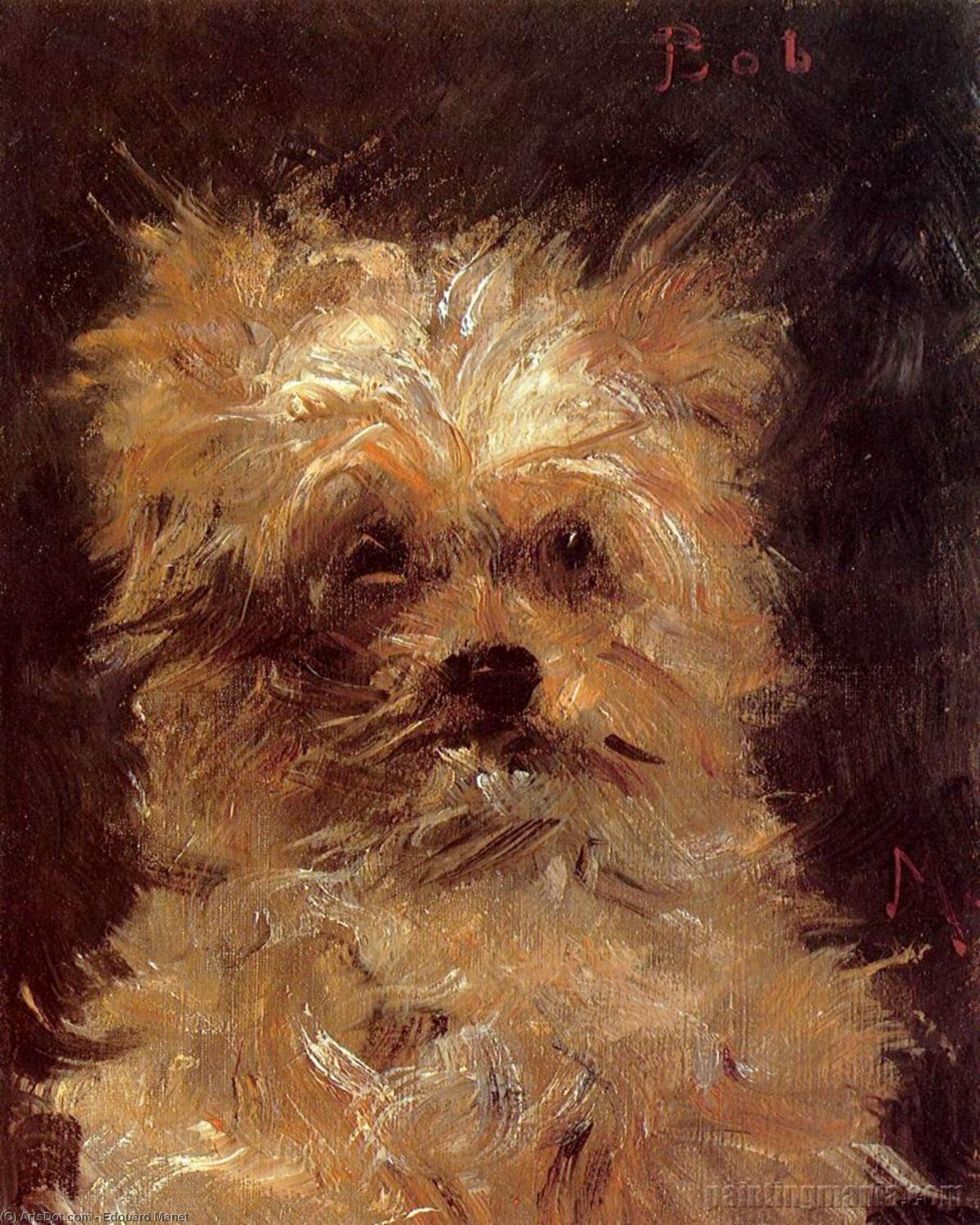 Head Of A Dog, 'bob' — Édouard Manet