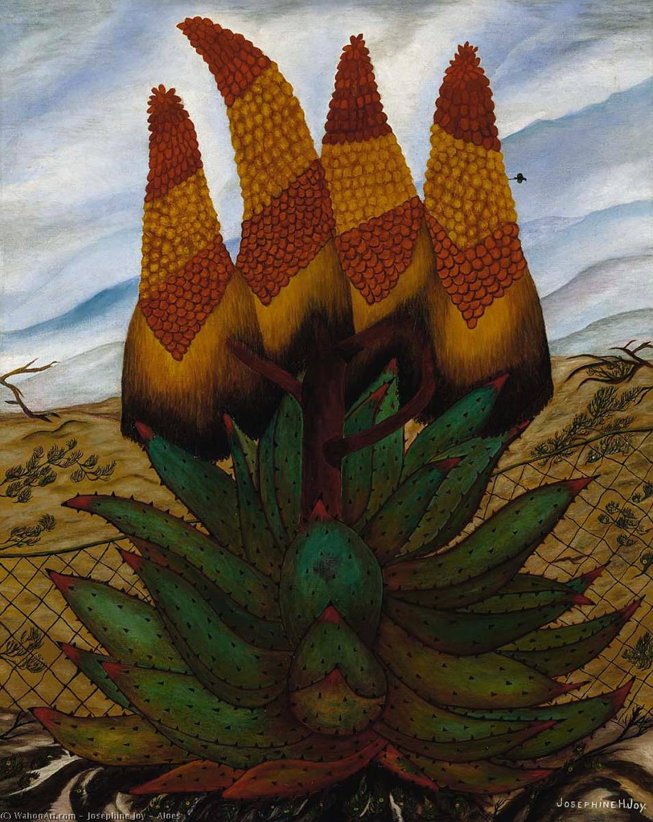 Aloes — Josephine Joy