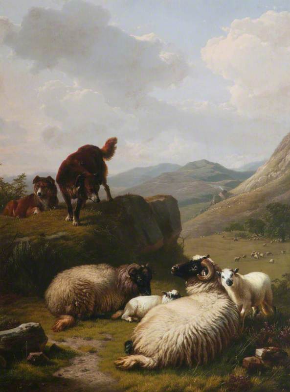 Sheep And Dogs — Eugène Joseph Verboeckhoven