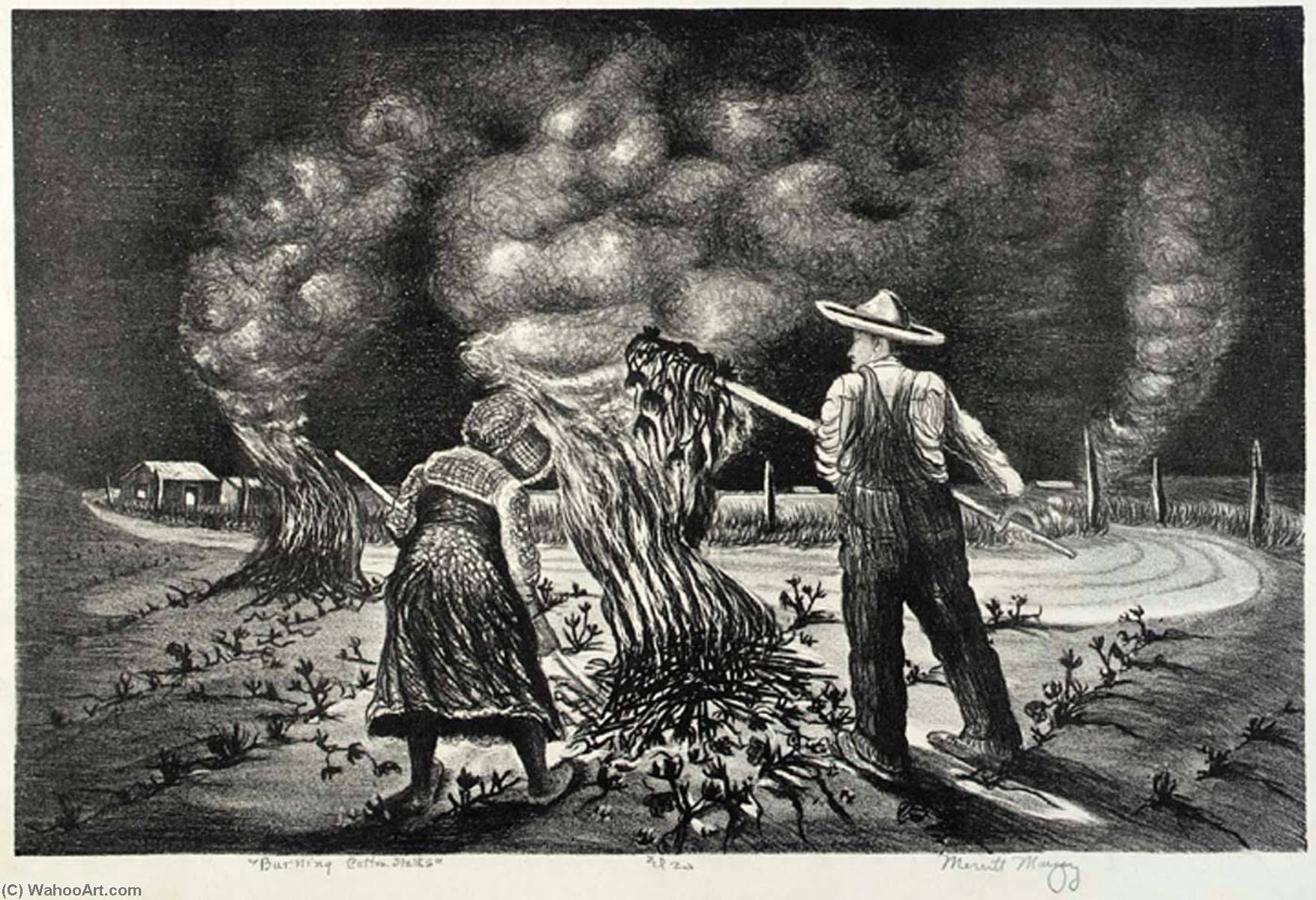 Burning Cotton Stalks — Merritt Mauzey