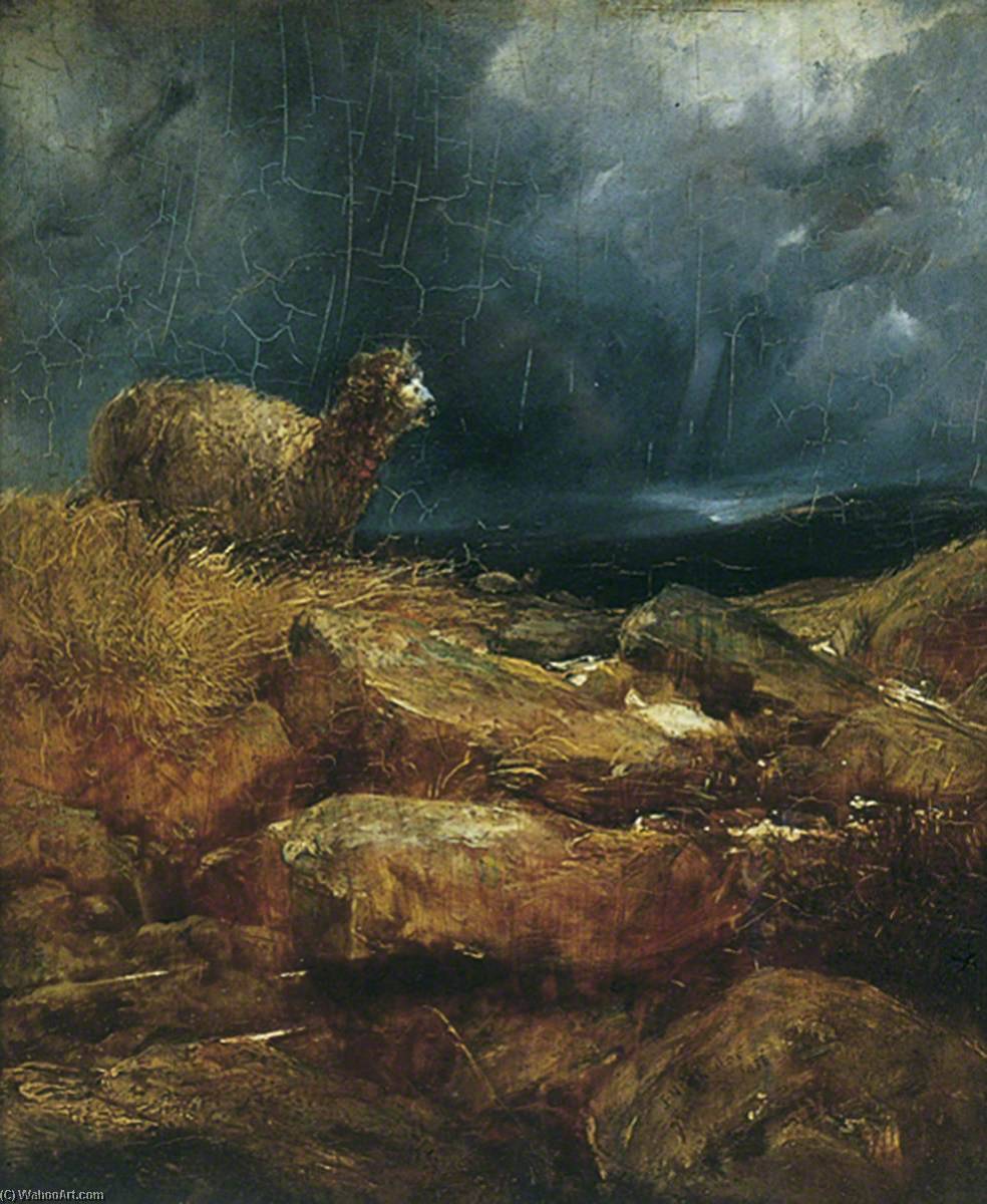 The Lost Sheep — John N. Rhodes