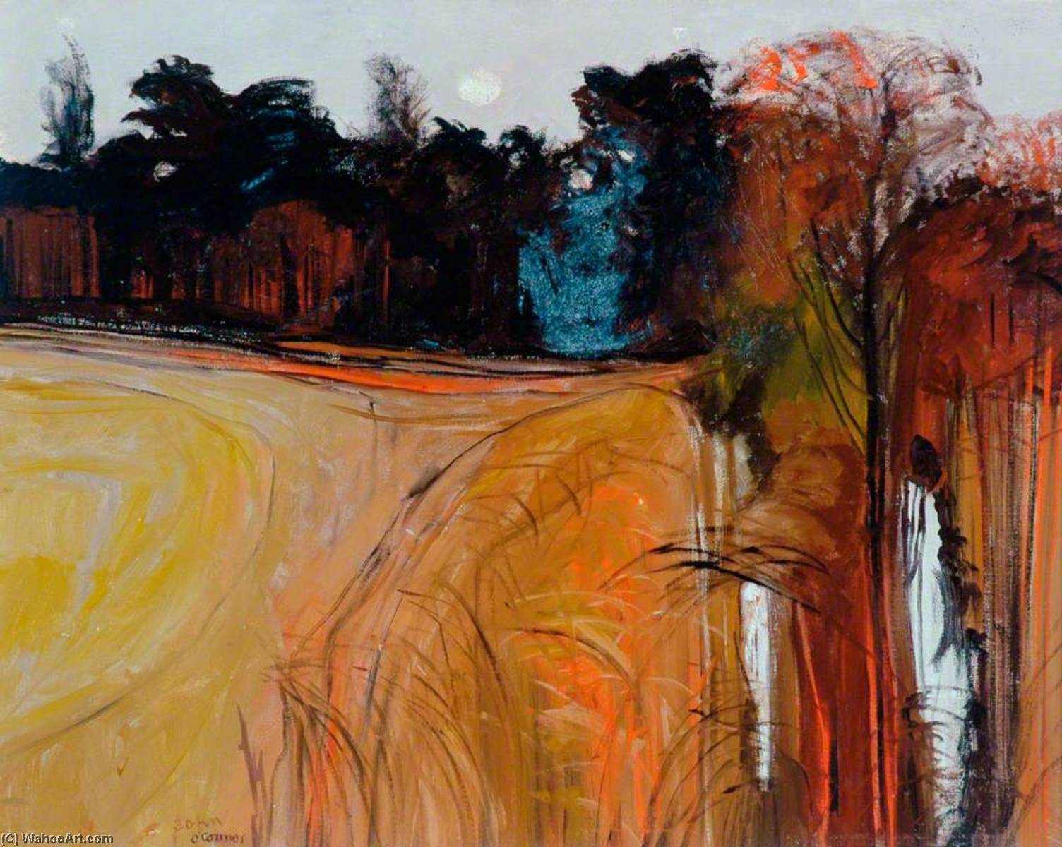 Cedar Wood — John Scorror O'connor