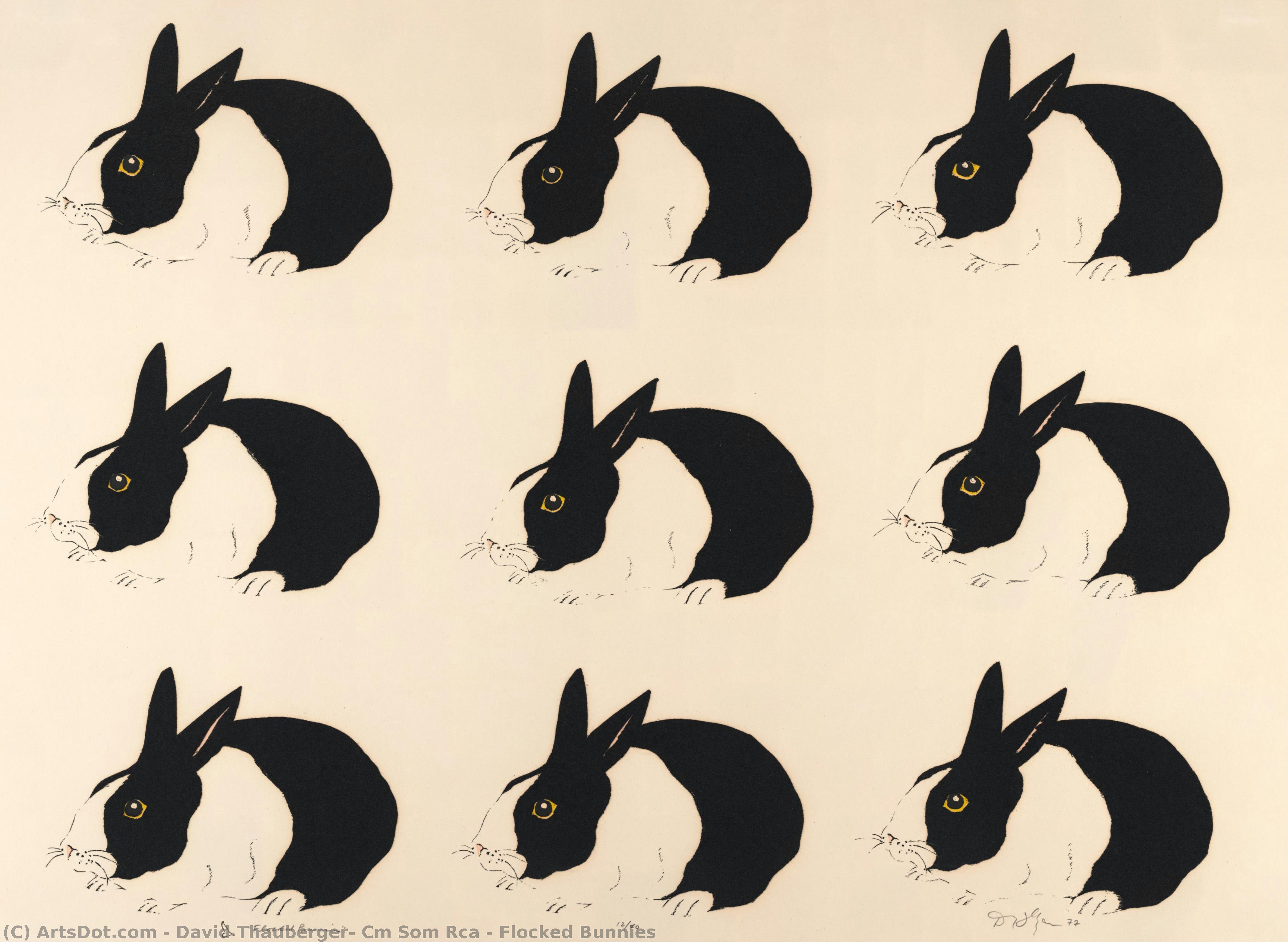 Flocked Bunnies — David Thauberger, Cm Som Rca