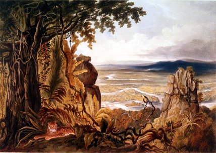 The Comuti Or Taquiare Rock, — Charles Bentley