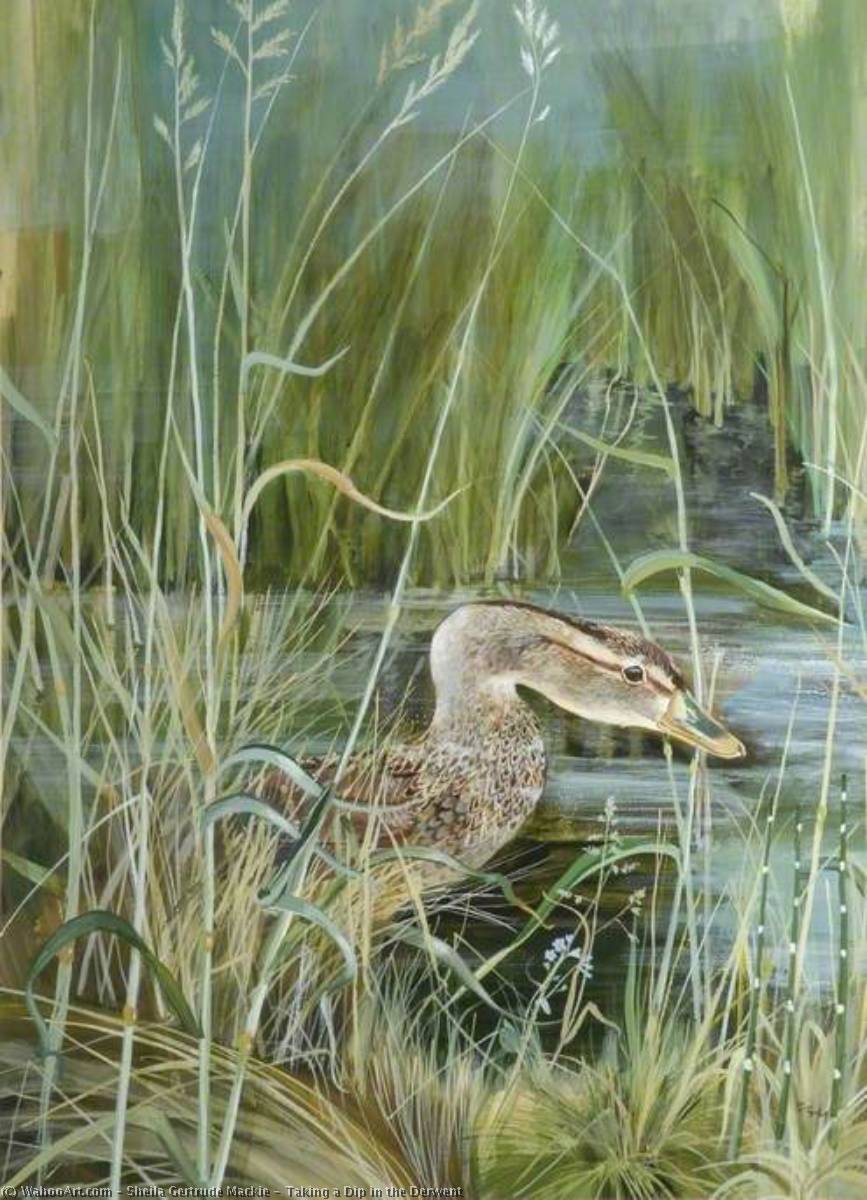 Taking A Dip In The Derwent — Sheila Gertrude Mackie