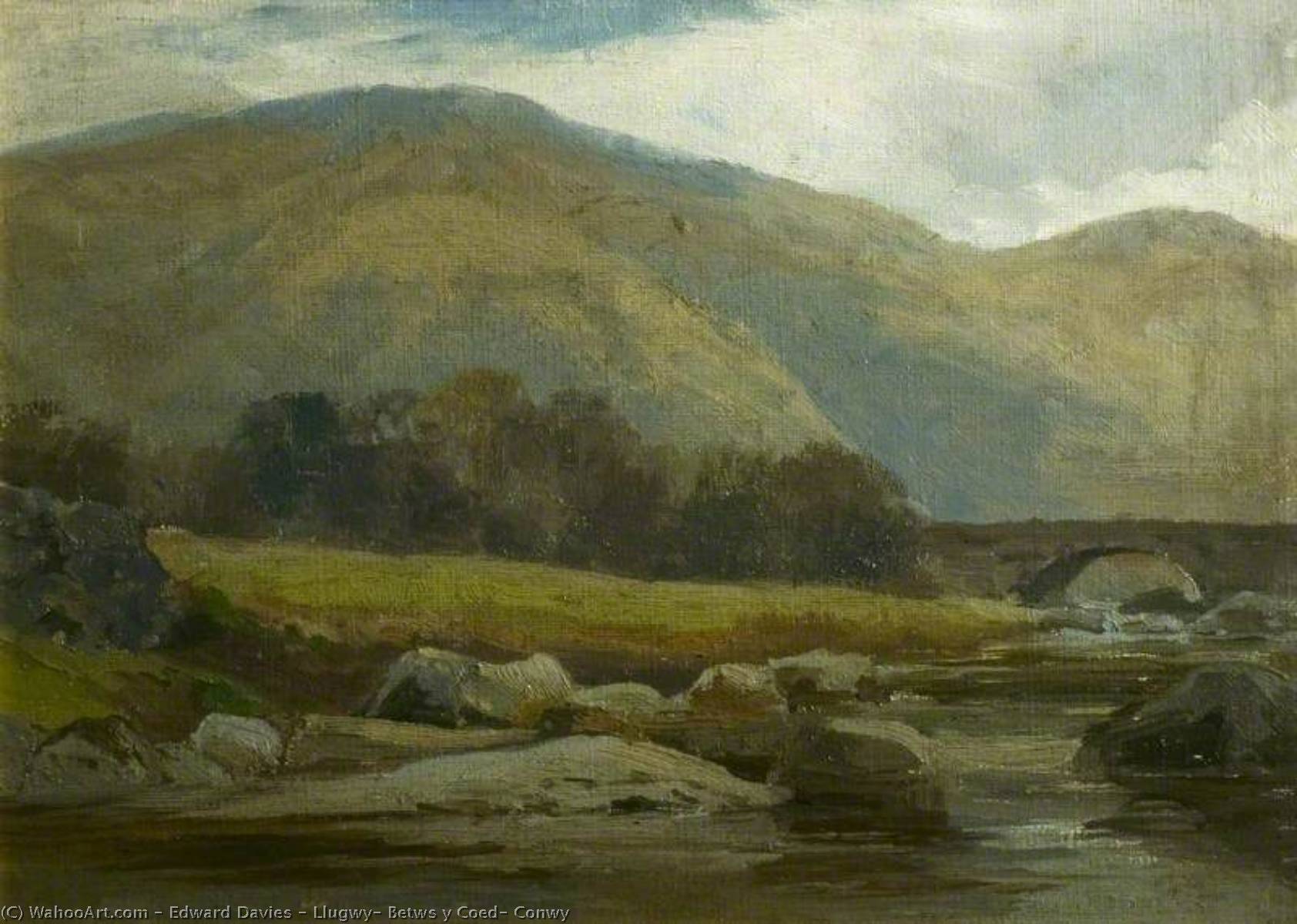 Llugwy, Betws Y Coed, Conwy — Edward Davies