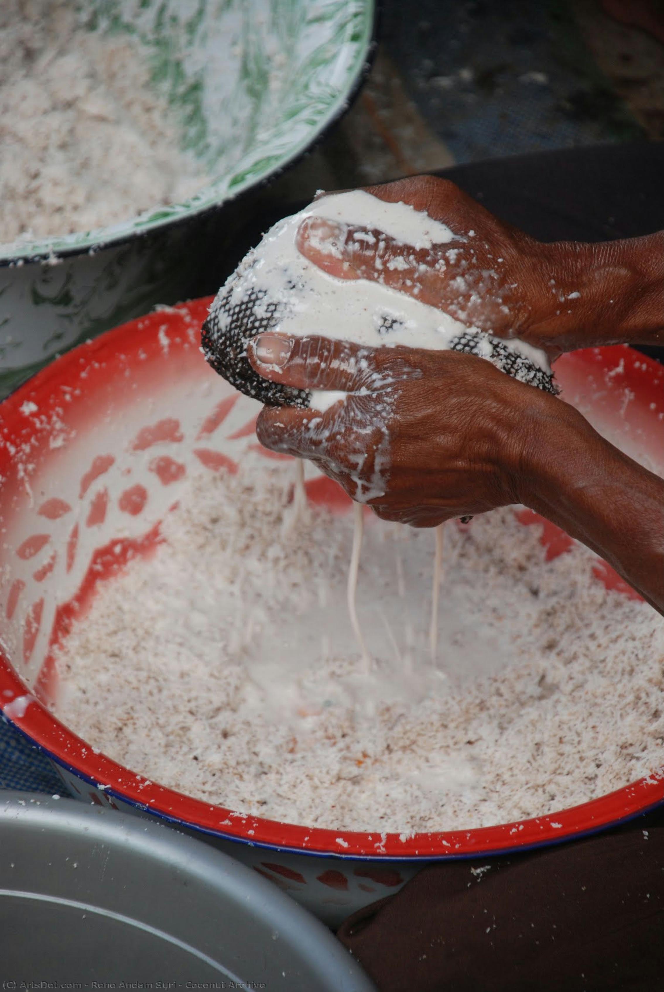 Coconut Archive — Reno Andam Suri