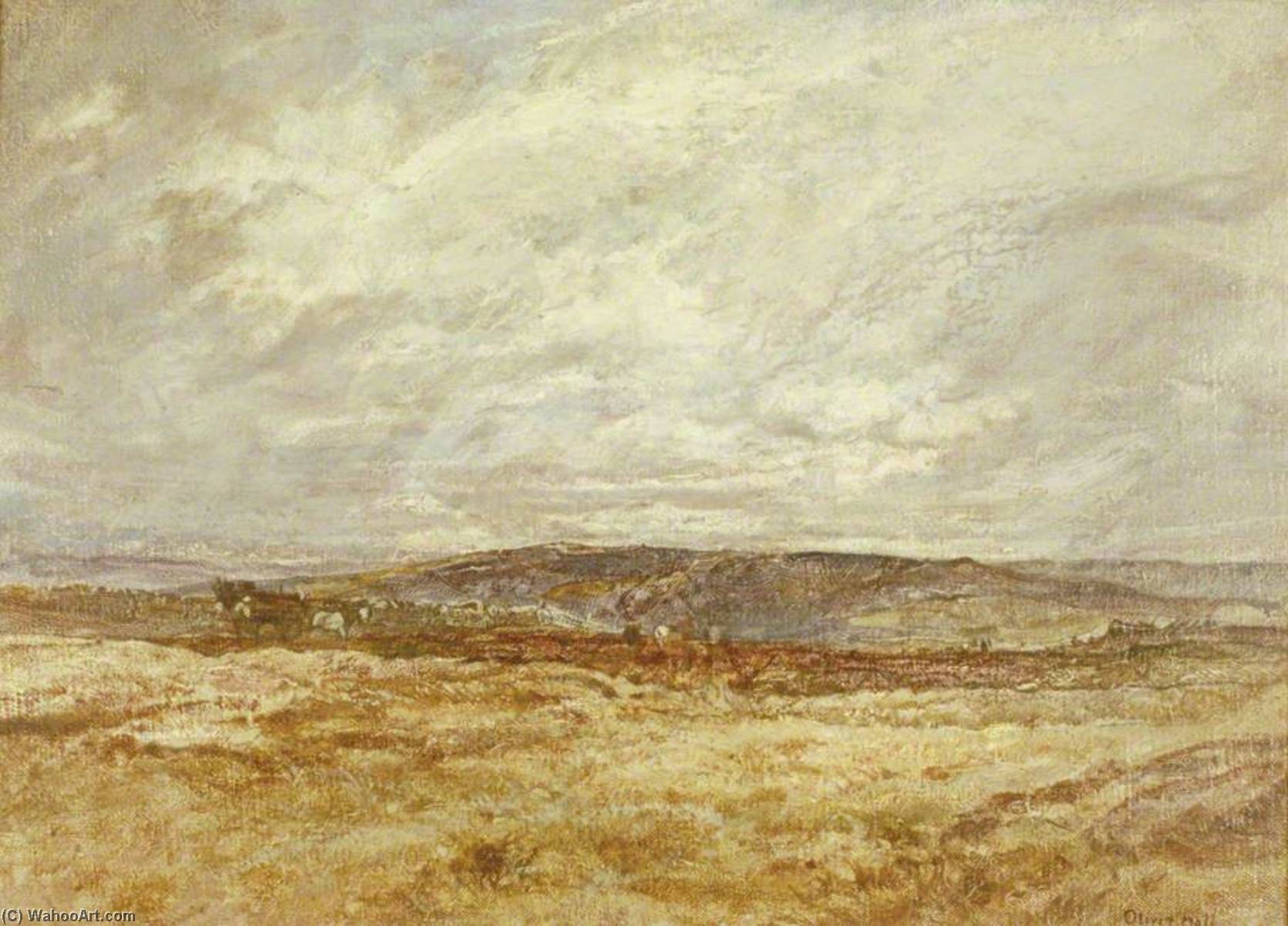 Bracelet Moor, Cumbria — Oliver Hall