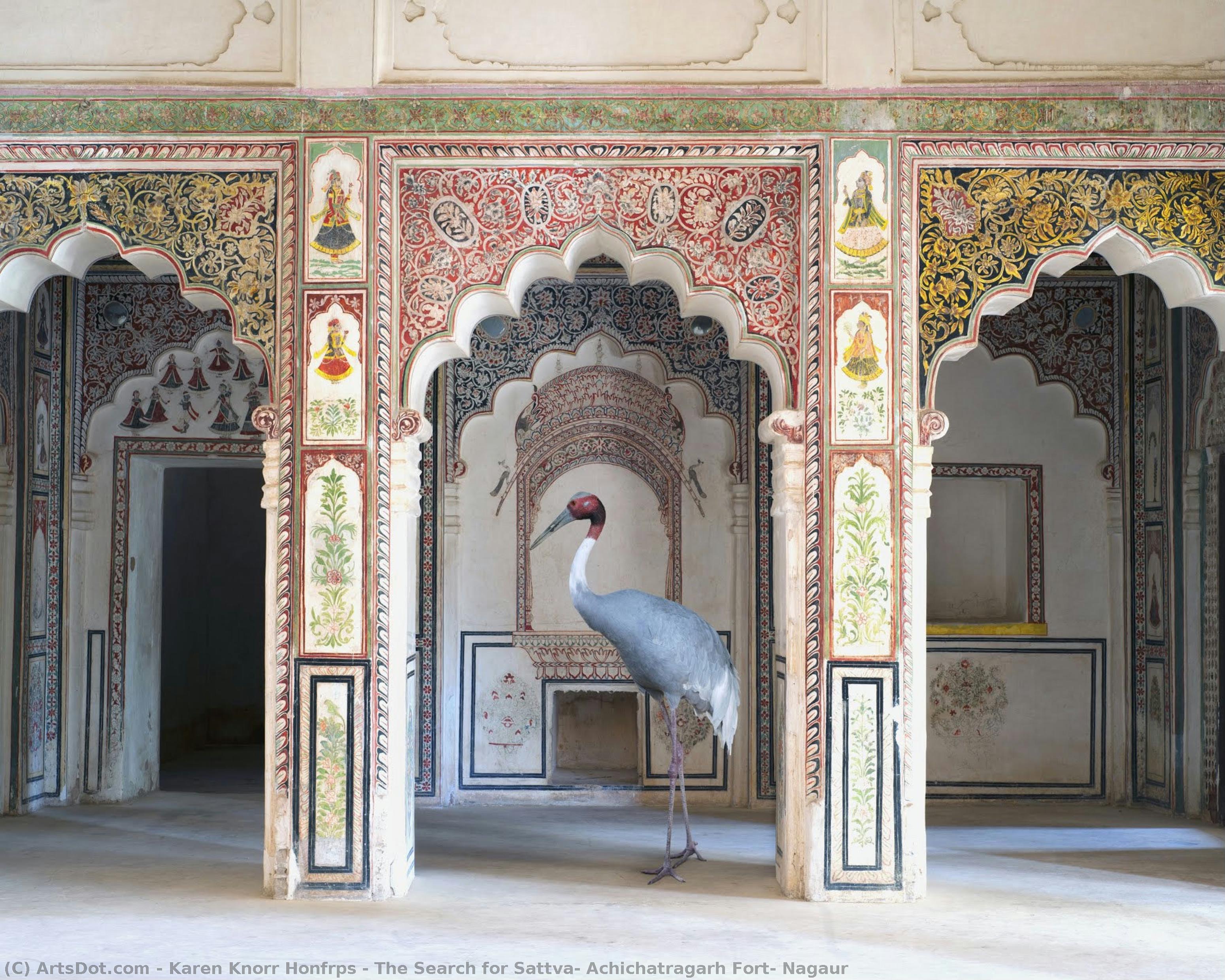 The Search For Sattva, Achichatragarh Fort, Nagaur — Karen Knorr Honfrps