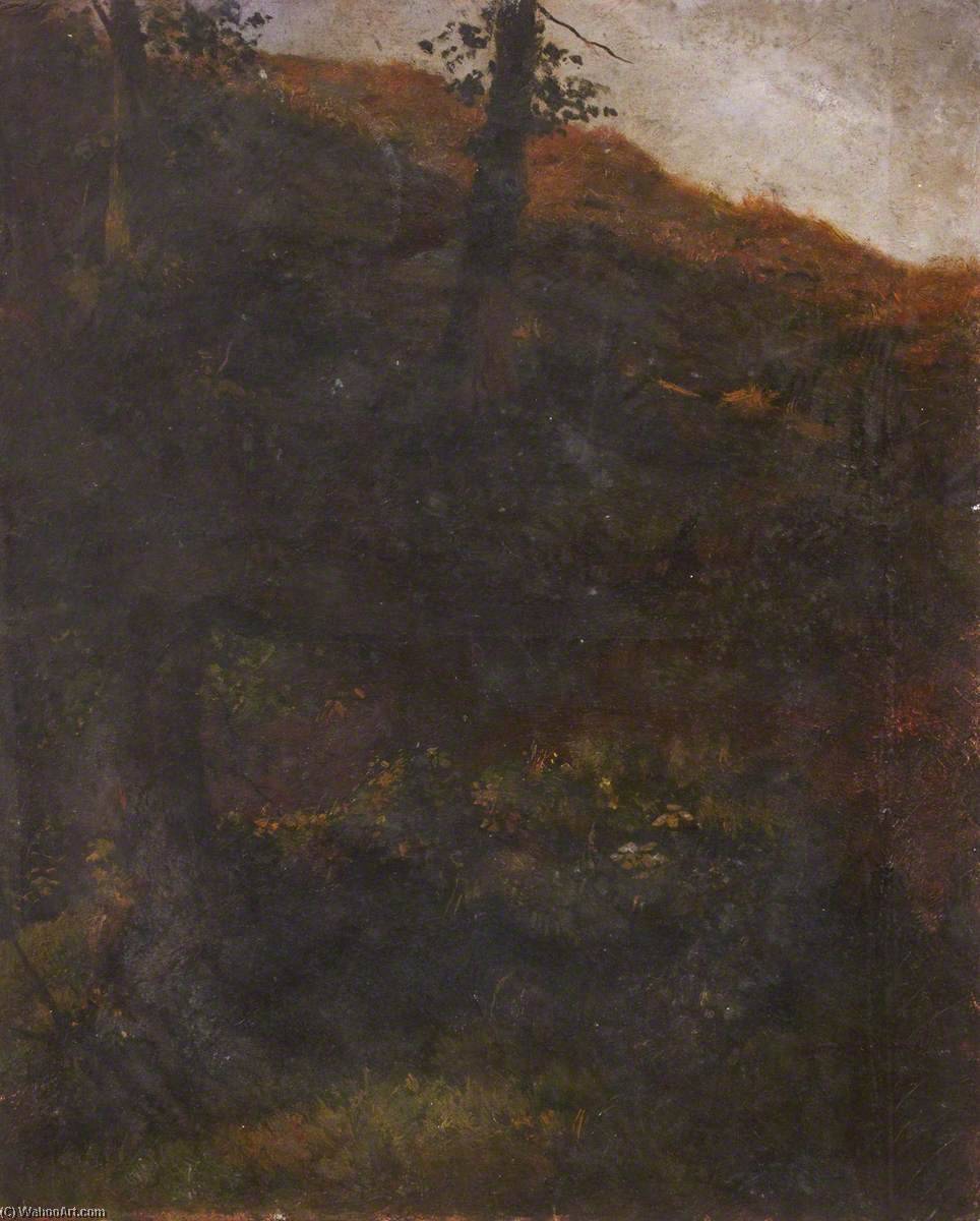 Dusky Landscape — Tomas Stjuart Smit