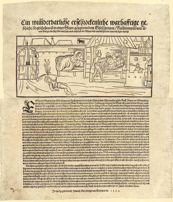 A Wunderbarliche Erschrockenliche Wahrhafftige Story Is Done In Rychenwyler — Heinrich Wirrich