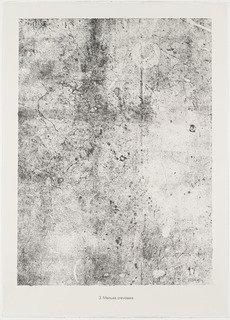 Thin Crevasses (menues Crevasses) From The Portfolio Expanses, Partitions (etendues, Parois) From Phenomena (les Phénomènes) — Jean Philippe Arthur Dubuffet
