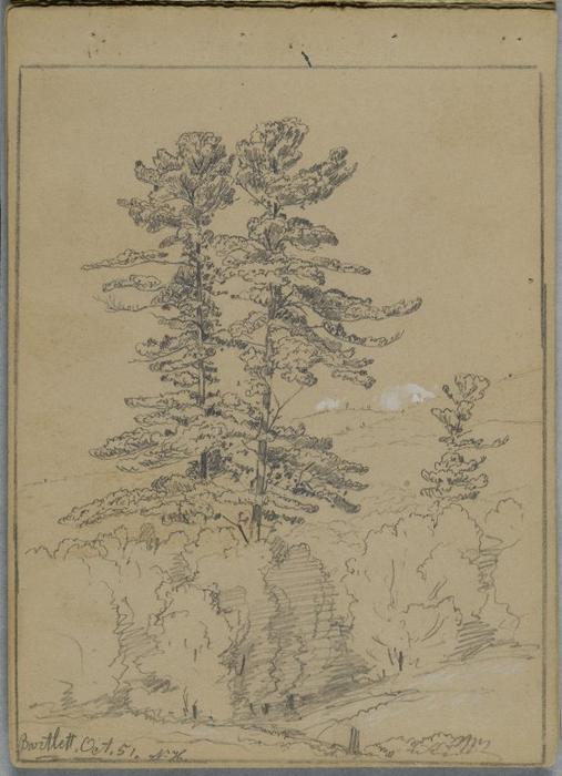 Sketchbook. Conway, New Hampshire — David Johnson