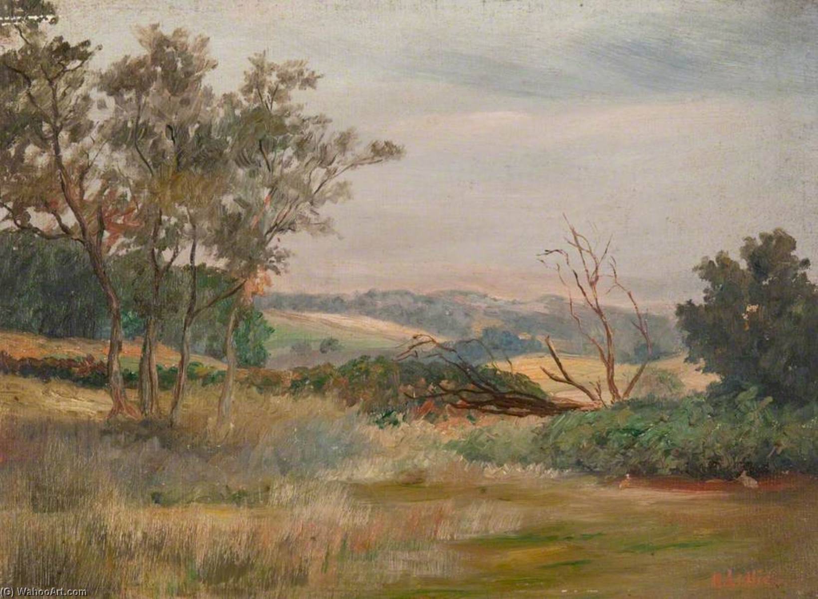 View From Old Road, Near Mugdock Castle — Robert Lillie