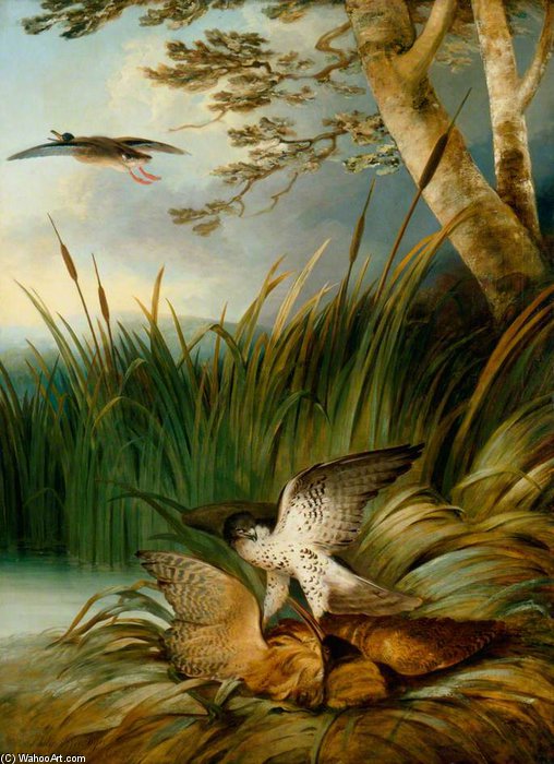 Harrier Killing A Bittern — George Philip Reinagle