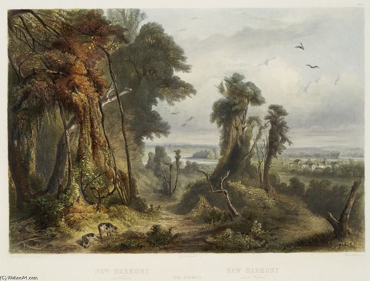 New-harmony Aus Wabash — Karl Bodmer